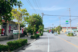 (有)大里住宅店舗及び前面道路