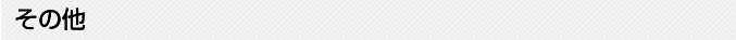 その他