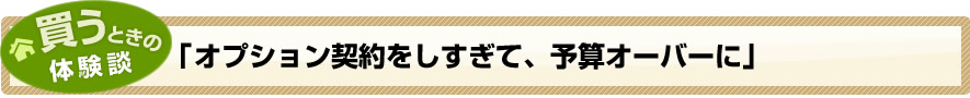買うときの体験談「オプション契約をしすぎて、予算オーバーに」